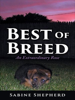 cover image of Best of Breed an Extraordinary Rose
